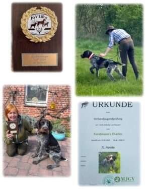 Von ganzem Herzen möchte ich mich bei allen Hundeführerinnen und Hundeführern von Juno sein Nachwuchs...