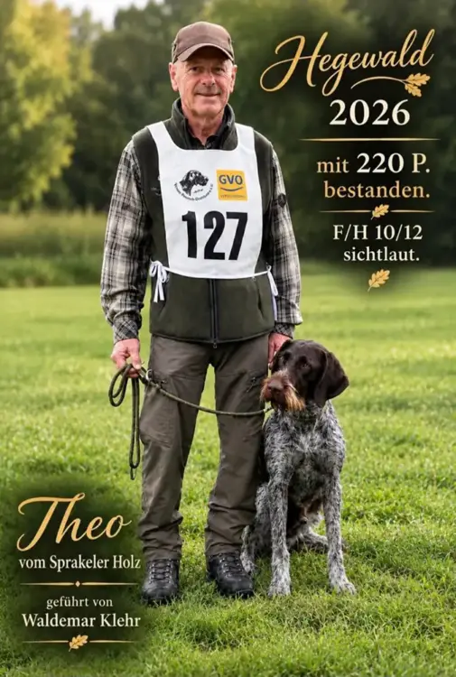 Theo vom Sprakeler Holz, vorgestellt von Waldemar Klehr, belegte den 62. Rang mit sehr guten 220 Hegewald‑Punkten. Besonders bemerkenswert: Er ist als einziger Hund bei der Hegewald mit der Bewertung „12“ im Haar ausgezeichnet worden. (F/H 10/12)